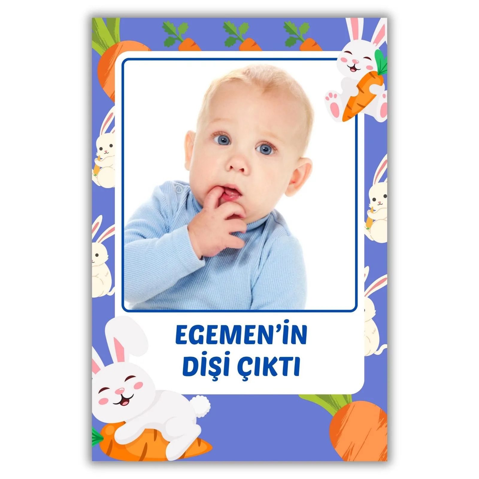 Kalın Diş Buğdayı Magneti